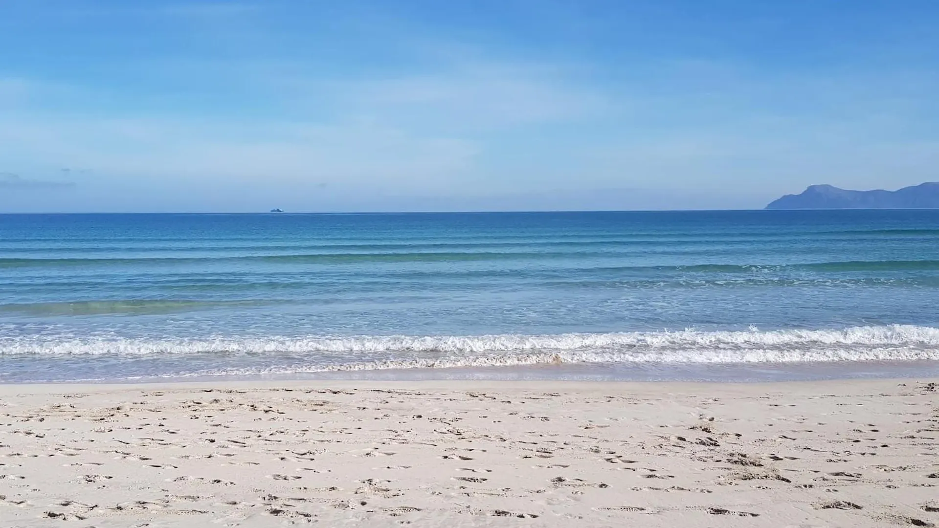 Ideal Property Mallorca - Llenaire Port de Pollenca